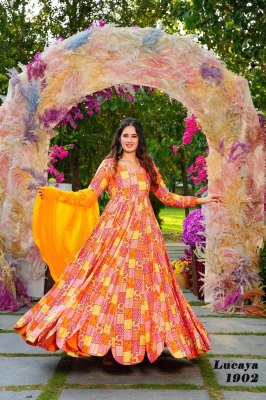 Lucaya vol 19 fancy printed long gown catalogue at affordable rate Dee cee