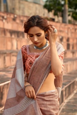 Rajyog by abhirupi silk Wonderful Daily wear Soft linen Silk with khadi Print sarees catalog at wholesale price sarees catalogs