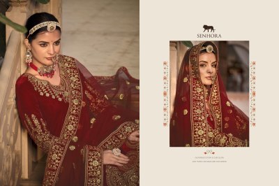 Senhora by riwayat velvet front and back embroidered long anarkali gown with dupatta catalogue at wholesale price readymade suit catalogs