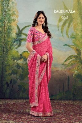 Stavan Raghumala Heavy Georgette Saree with Fancy Lace & Heavy Embroidery Blouse  Wholesale  sarees catalogs
